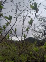 김민수산에서농사중님의 자유주제·자유게시판 작성글 사진