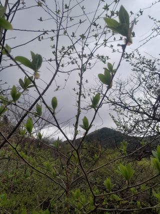 김민수산에서농사중님의 자유주제 · 자유게시판 작성글 사진