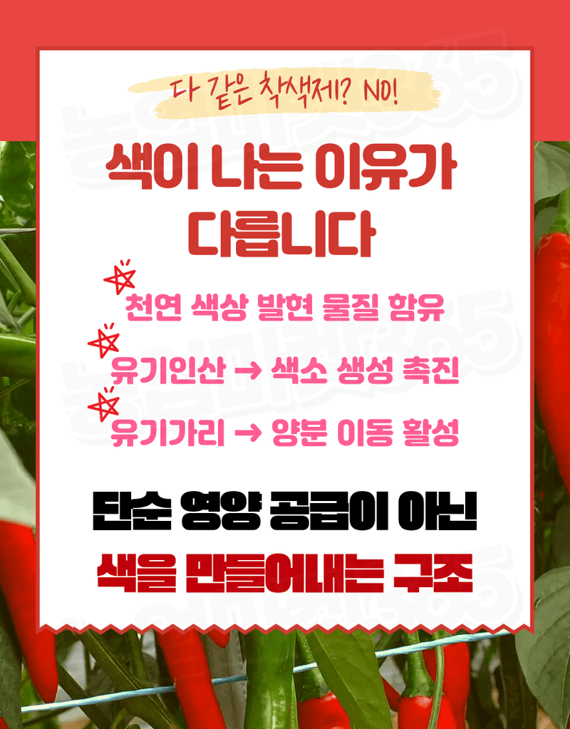 농업마켓365님의 장터 판매 상품 [융전 뉴고추칼라링 액제 250ml 고추 착색증진 착과증가 비대촉진 수확증대제] 첨부 사진