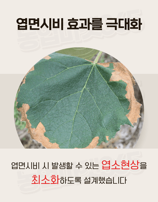 농업마켓365님의 작성글 사진