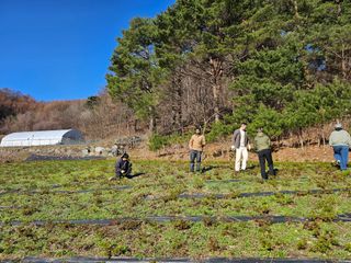홍천산채농원님의 자유주제 · 자유게시판 작성글 사진