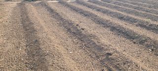 정진해님의 자유주제 · 자유게시판 작성글 사진