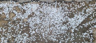 정진해님의 자유주제 · 자유게시판 작성글 사진