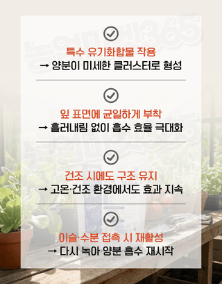 농업마켓365님의 작성글 사진