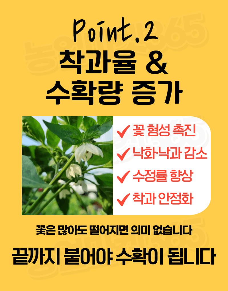 농업마켓365님의 장터 판매 상품 [융전 뉴고추칼라링 액제 250ml 고추 착색증진 착과증가 비대촉진 수확증대제] 첨부 사진