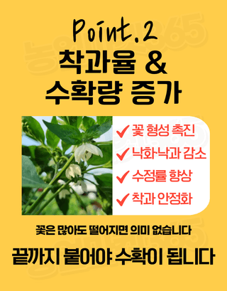 농업마켓365님의 작성글 사진