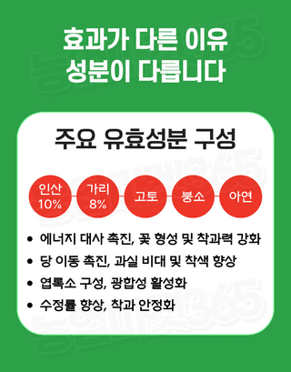 농업마켓365님의 작성글 사진