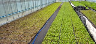 음두임님의 자유주제 · 자유게시판 작성글 사진