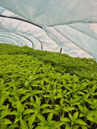 김영진(전남영광)님의 자유주제 · 자유게시판 작성글 사진