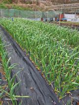 박기식 님의 자유주제·자유게시판 작성글 사진