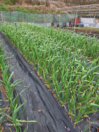 박기식 님의 자유주제 · 자유게시판 작성글 사진