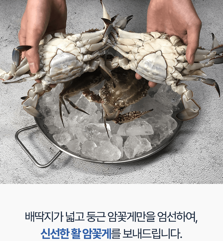 스피드번님의 장터 판매 상품 [국내산 활 암꽃게] 첨부 사진