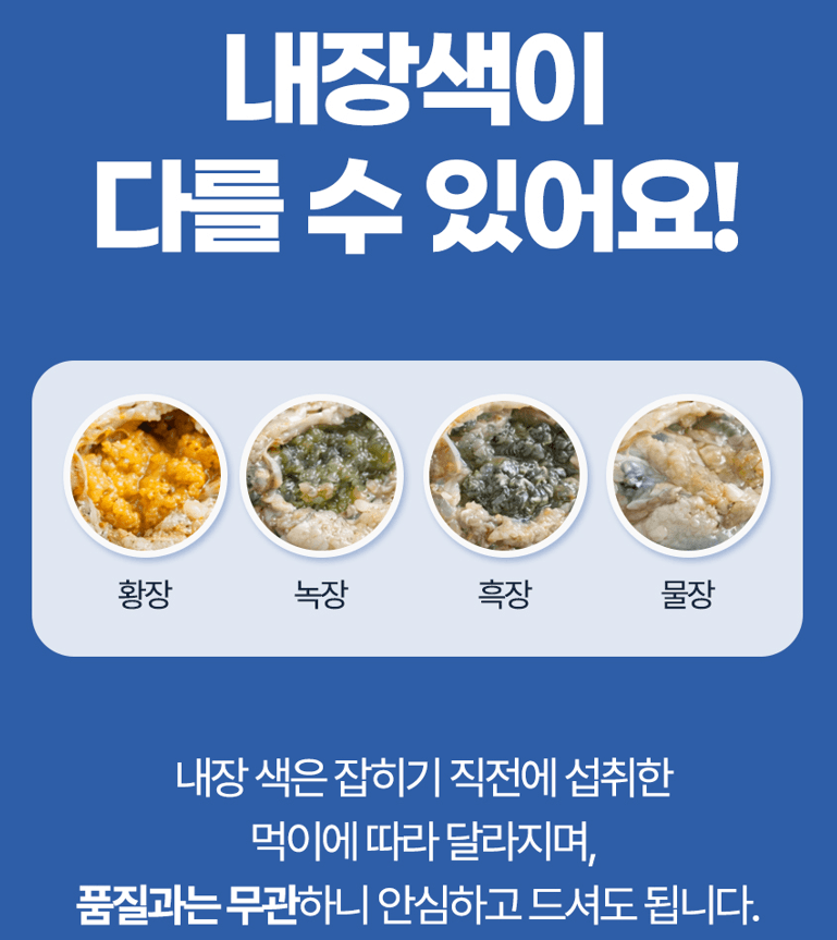 스피드번님의 장터 판매 상품 [국내산 활 암꽃게] 첨부 사진