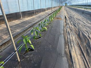 노고단님의 자유주제 · 자유게시판 작성글 사진