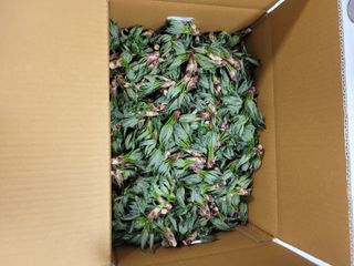 다래8403님의 자유주제 · 자유게시판 작성글 사진