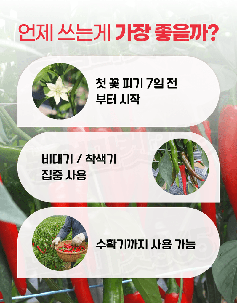 농업마켓365님의 장터 판매 상품 [융전 뉴고추칼라링 액제 250ml 고추 착색증진 착과증가 비대촉진 수확증대제] 첨부 사진