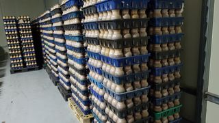 벼13991님의 자유주제 · 자유게시판 작성글 사진