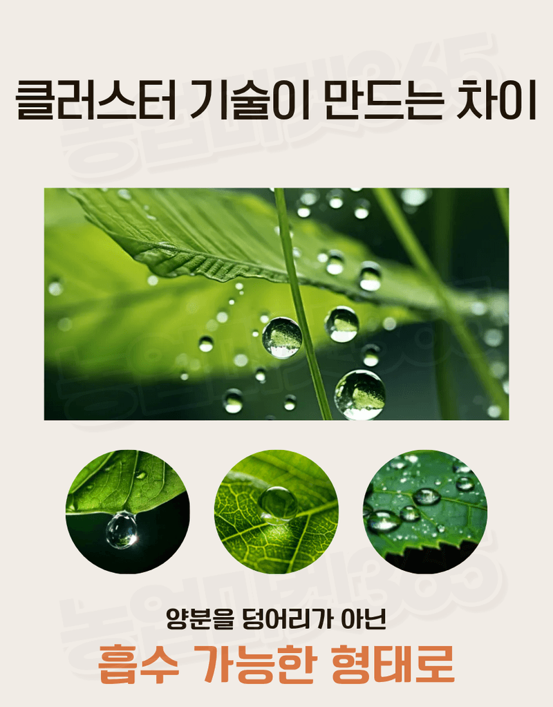 농업마켓365님의 장터 판매 상품 [하이파 케이플러스 1kg 엽면시비 전용비료 엽면시비 흡수강화 식물영양제] 첨부 사진