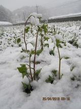 농민님의 자유주제·자유게시판 작성글 사진