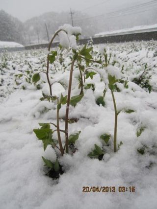 농민님의 자유주제 · 자유게시판 작성글 사진
