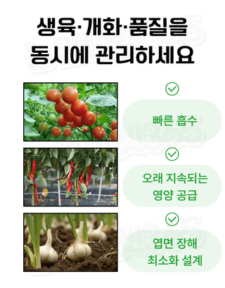 농업마켓365님의 작성글 사진
