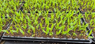 음두임님의 자유주제 · 자유게시판 작성글 사진