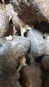 김지영님의 자유주제·자유게시판 작성글 사진