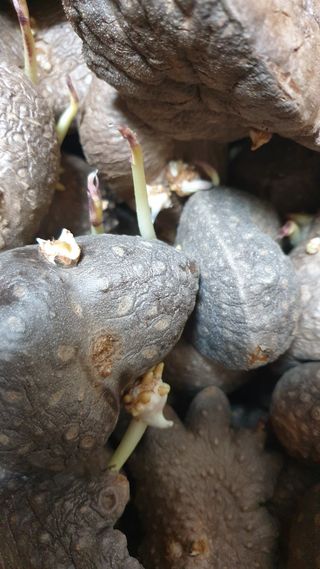 김지영님의 자유주제 · 자유게시판 작성글 사진