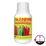팜모닝 · 게시글 이미지