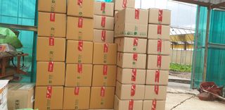 전봉우(채미농원)님의 자유주제 · 자유게시판 작성글 사진