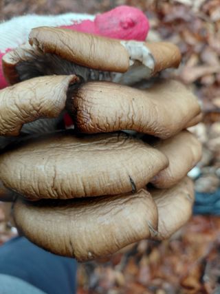 좋은인연원님의 자유주제 · 자유게시판 작성글 사진
