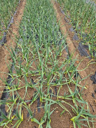 정태권님의 자유주제 · 자유게시판 작성글 사진