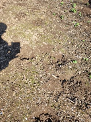 김용대님의 자유주제 · 자유게시판 작성글 사진