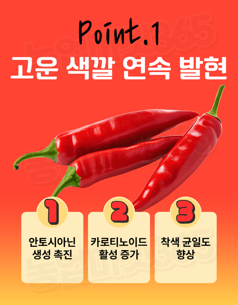 농업마켓365님의 장터 판매 상품 [융전 뉴고추칼라링 액제 250ml 고추 착색증진 착과증가 비대촉진 수확증대제] 첨부 사진