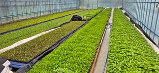 음두임님의 자유주제·자유게시판 작성글 사진