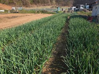 최경림님의 자유주제·사진전 작성글 사진