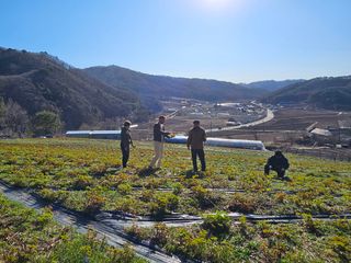 홍천산채농원님의 자유주제 · 자유게시판 작성글 사진