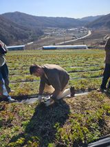 홍천산채농원님의 자유주제·자유게시판 작성글 사진