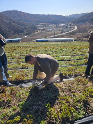 홍천산채농원님의 자유주제 · 자유게시판 작성글 사진