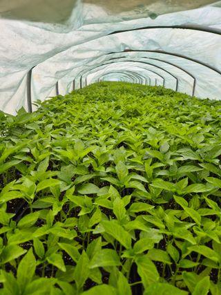 김영진(전남영광)님의 자유주제 · 자유게시판 작성글 사진