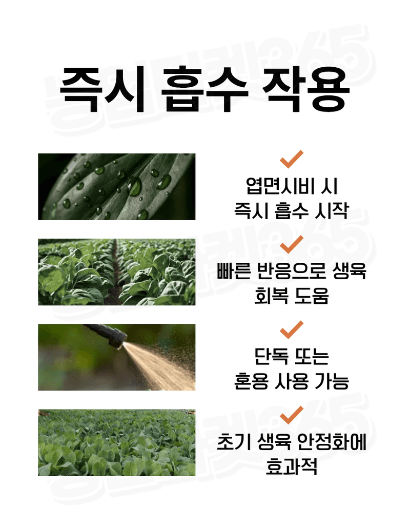 농업마켓365님의 장터 판매 상품 [하이파 케이플러스 1kg 엽면시비 전용비료 엽면시비 흡수강화 식물영양제] 첨부 사진