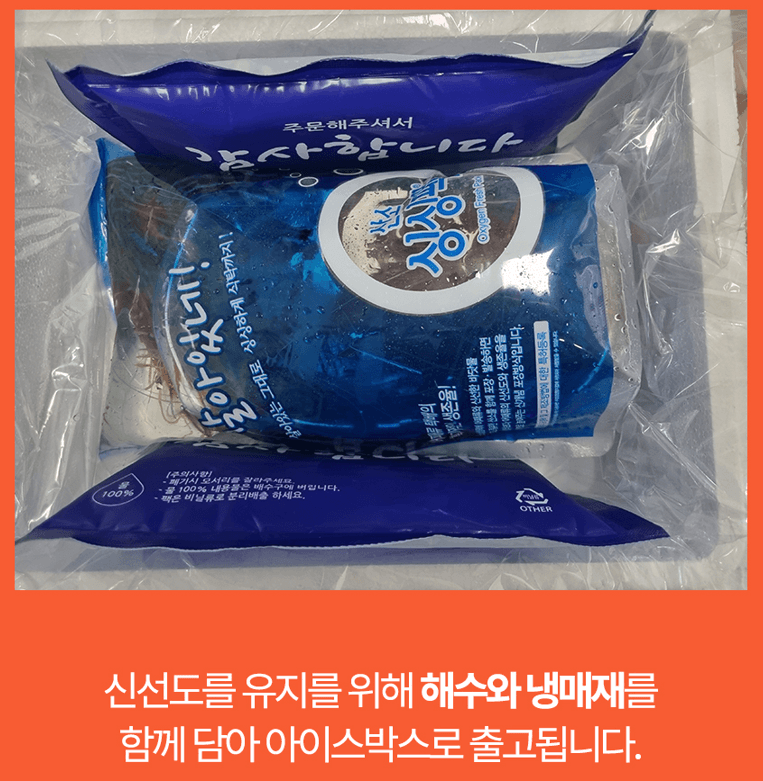 스피드번님의 장터 판매 상품 [활 독도새우] 첨부 사진