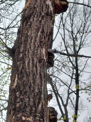 좋은인연원님의 자유주제 · 자유게시판 작성글 사진