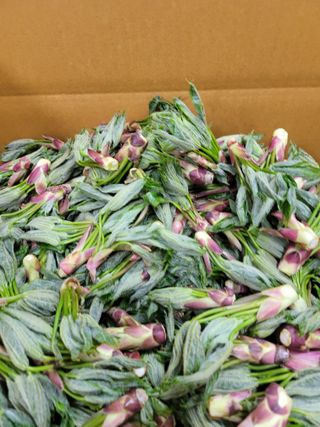 다래8403님의 자유주제 · 자유게시판 작성글 사진