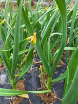 팜모닝 자유주제·자유게시판 게시글 이미지