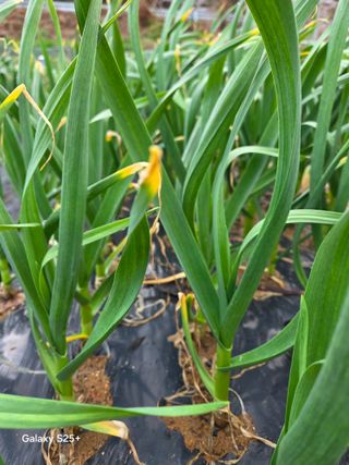 박기식 님의 자유주제 · 자유게시판 작성글 사진