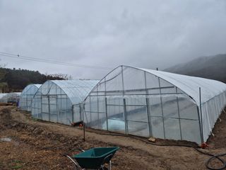 준호님의 자유주제 · 자유게시판 작성글 사진