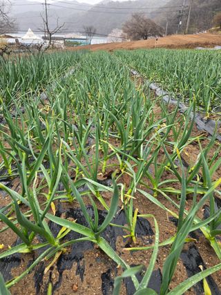 정태권님의 자유주제 · 자유게시판 작성글 사진