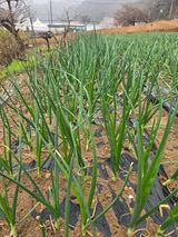 정태권님의 자유주제·자유게시판 작성글 사진