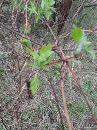 김민수산에서농사중님의 자유주제 · 자유게시판 작성글 사진
